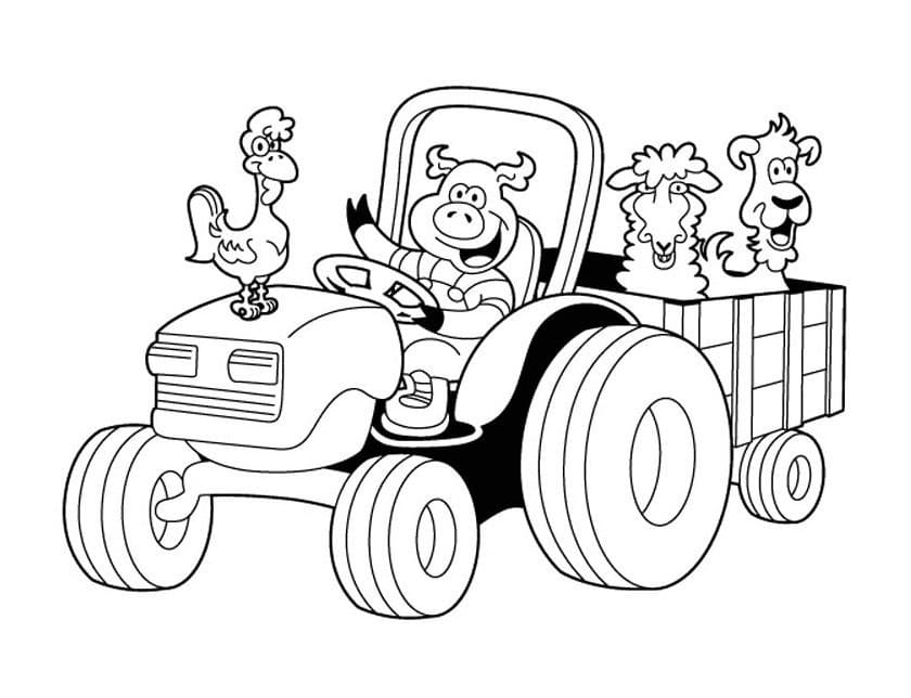 Desenho de Animais no Trator para Colorir e Pintar