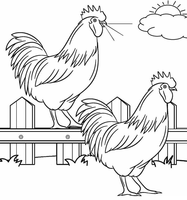 Desenho de Fazenda com Dois Galos para Colorir e Pintar