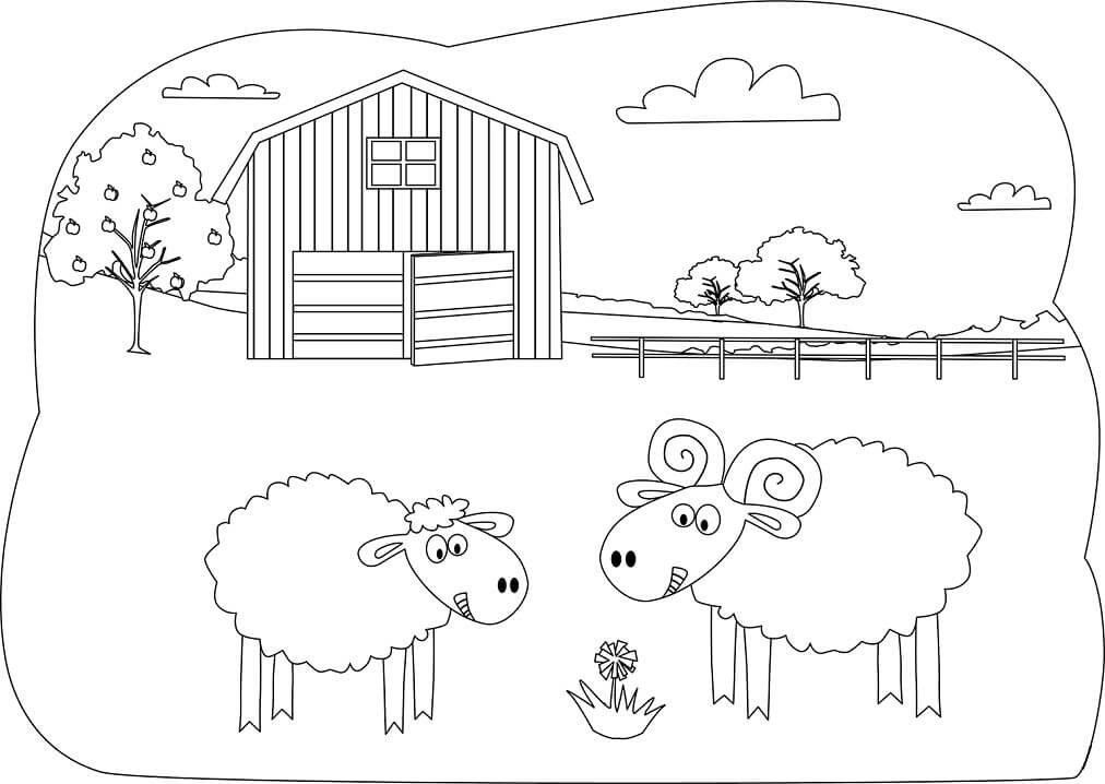 Desenho de Fazenda com Ovelhas para Colorir e Pintar