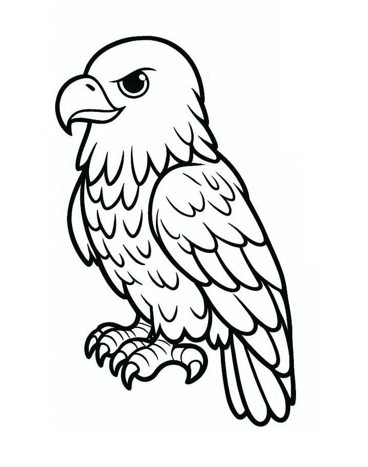 Desenhos de Águia para Colorir