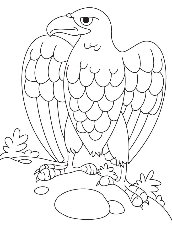 Desenho de Incrível Águia na Floresta para Colorir em Pdf Grátis