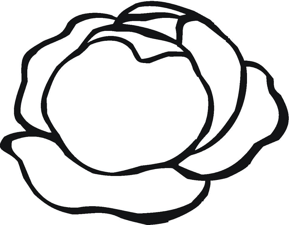 Desenho de Alface Simples para Colorir