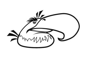 Desenho Angry Birds Águia Poderosa para Colorir 300×212