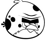 Desenho Angry Birds Pássaro Terrence para Colorir 150×150