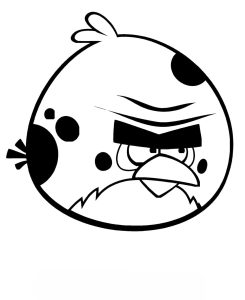 Desenho Angry Birds Pássaro Terrence para Colorir 245×300