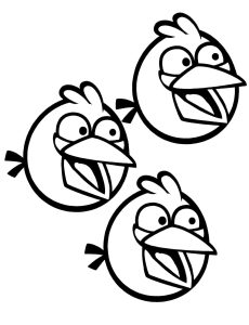 Desenho Angry Birds Três Pássaros Azuis para Colorir 230×300