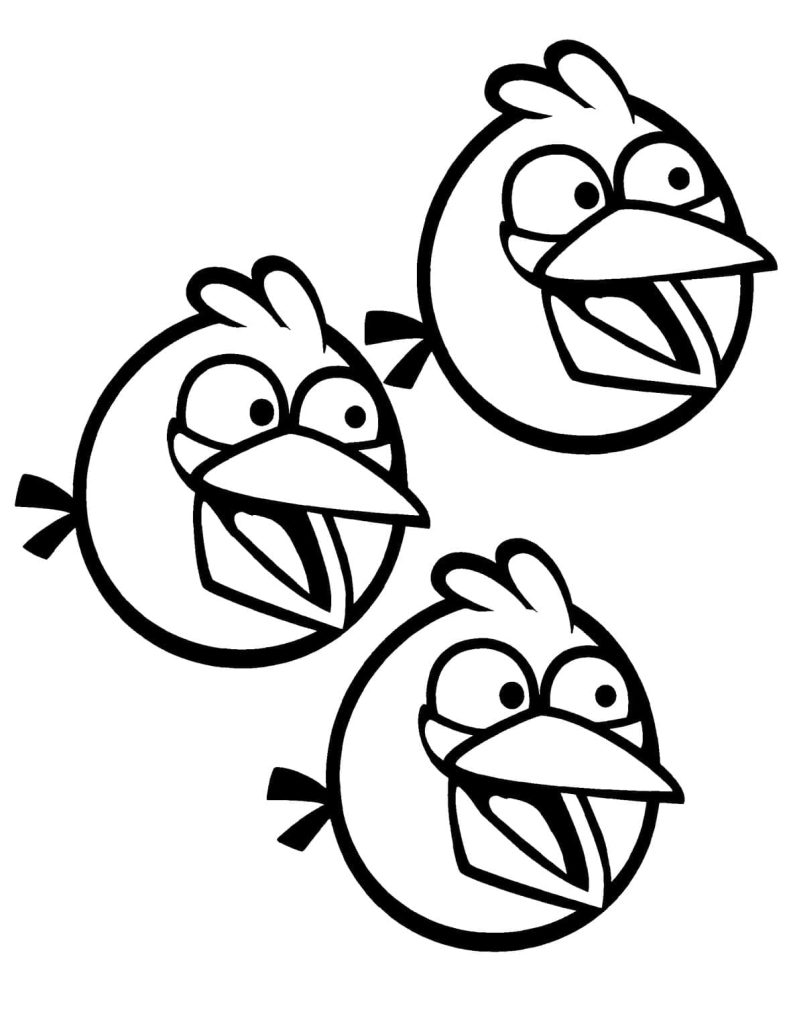 Desenho Angry Birds Três Pássaros Azuis para Colorir 785×1024
