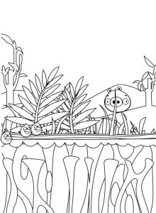 Desenho para Pintar de Porquinho do Angry Birds na Floresta para Colorir 220×300
