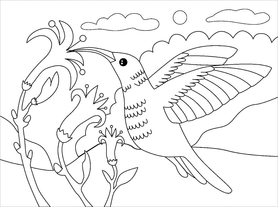 Desenho de Beijá Flor Fofo para Imprimir Grátis Download e Pintar