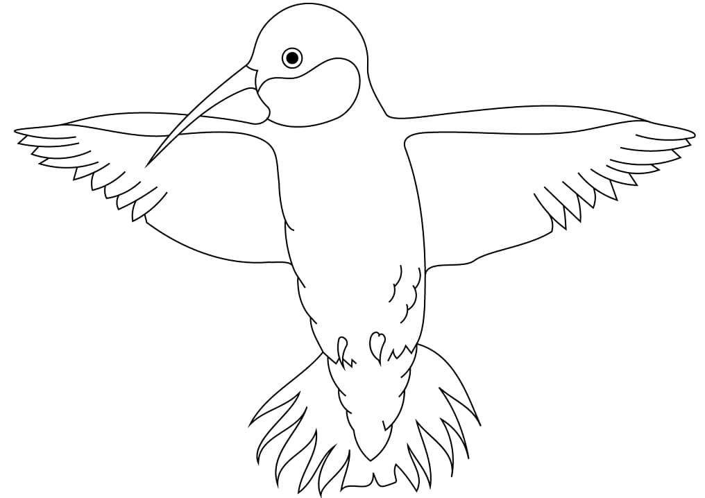 Desenho de Beijá Flor Fofo para Pintar com Giz de Cera