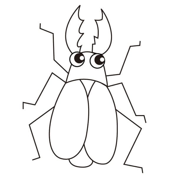 Desenho Besouro Fácil para Colorir e Pintar