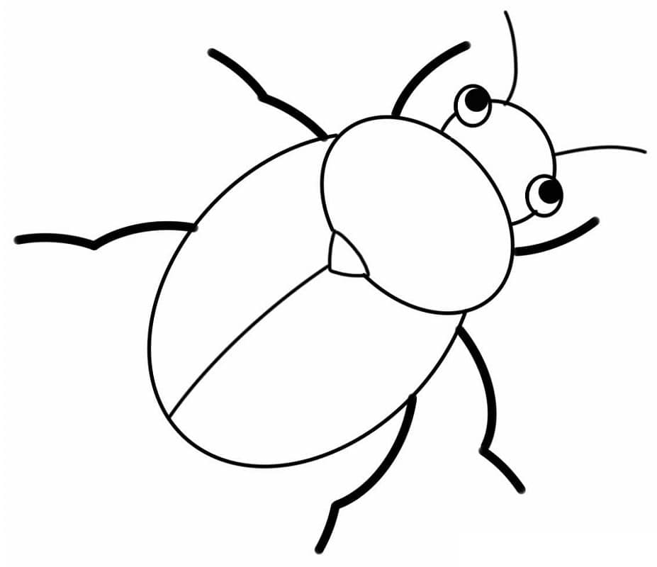 Desenho Besouro Fofo para Colorir e Pintar