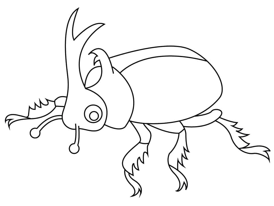 Desenho Besouro Rinoceronte 2 para Colorir e Pintar