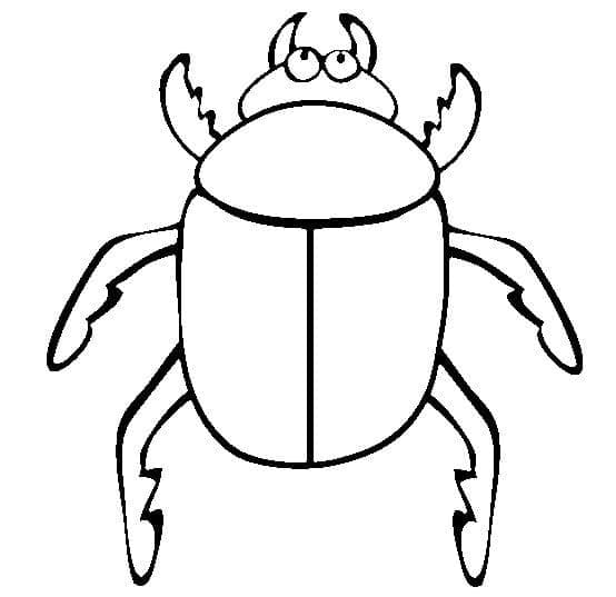 Desenho de Besouro para Colorir Baixar Lápis de Cor e Pintar