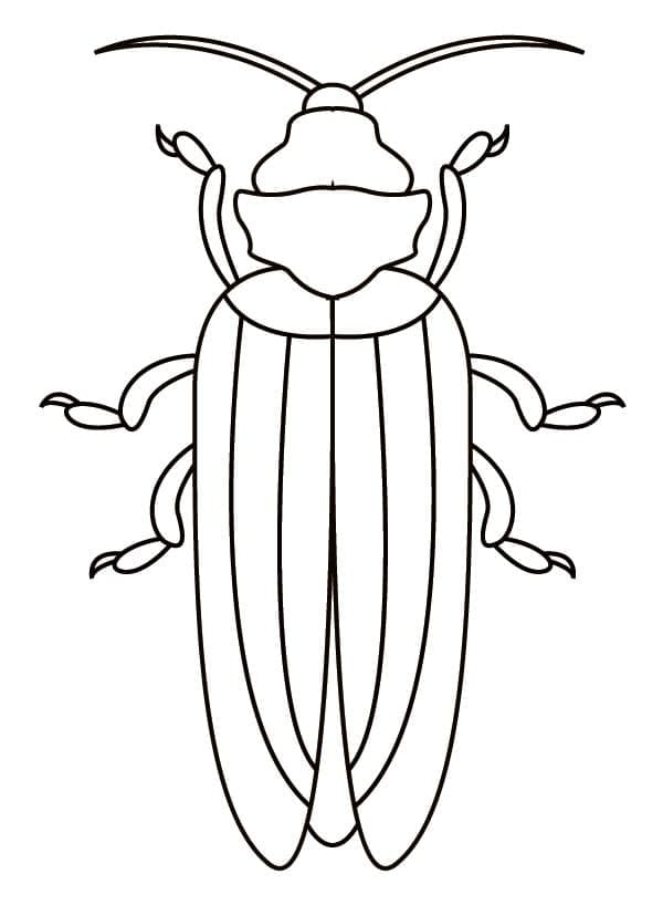 Desenho de Besouro para Colorir com Lápis de Cor e Pintar