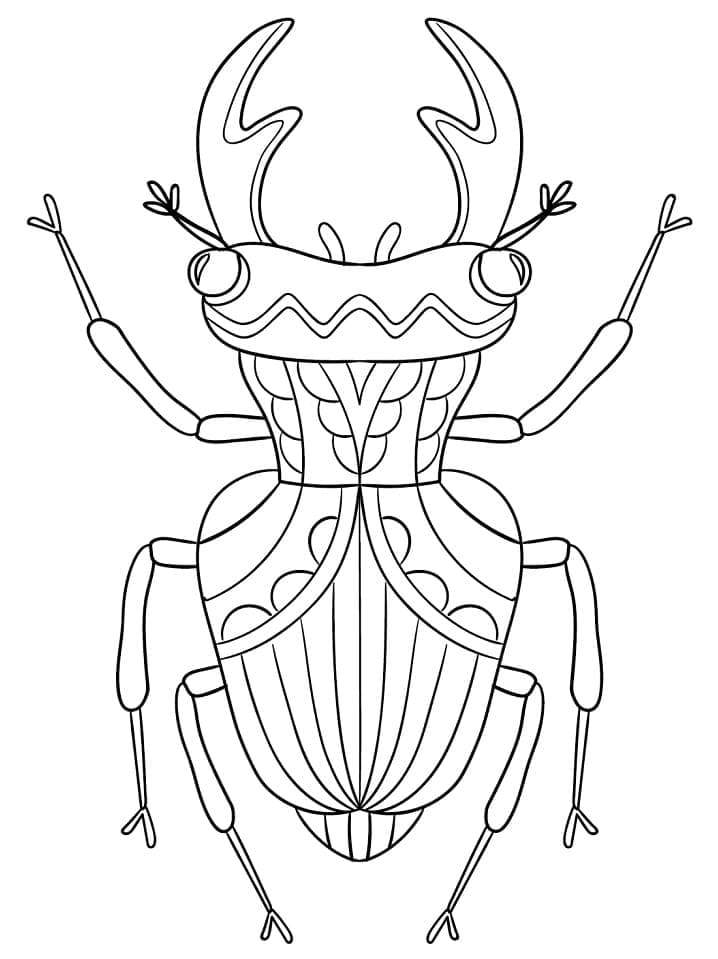 Desenho de Besouro para Colorir Download Lápis de Cor e Pintar