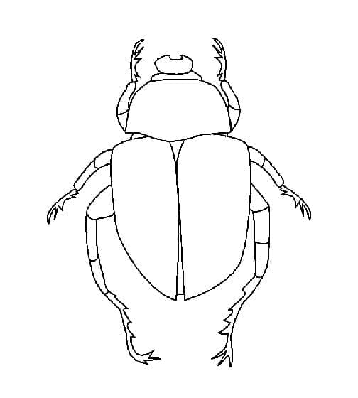Desenho de Besouro para Colorir Imprimivel Pdf e Pintar