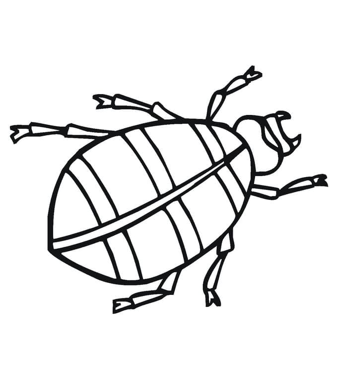 Desenho de Besouro para Colorir Pdf Imprimivel e Pintar