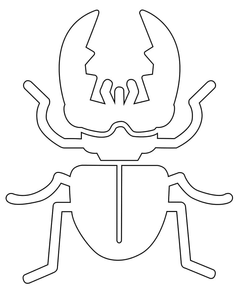 Desenho de Besouro para Imprimir Pdf e Pintar