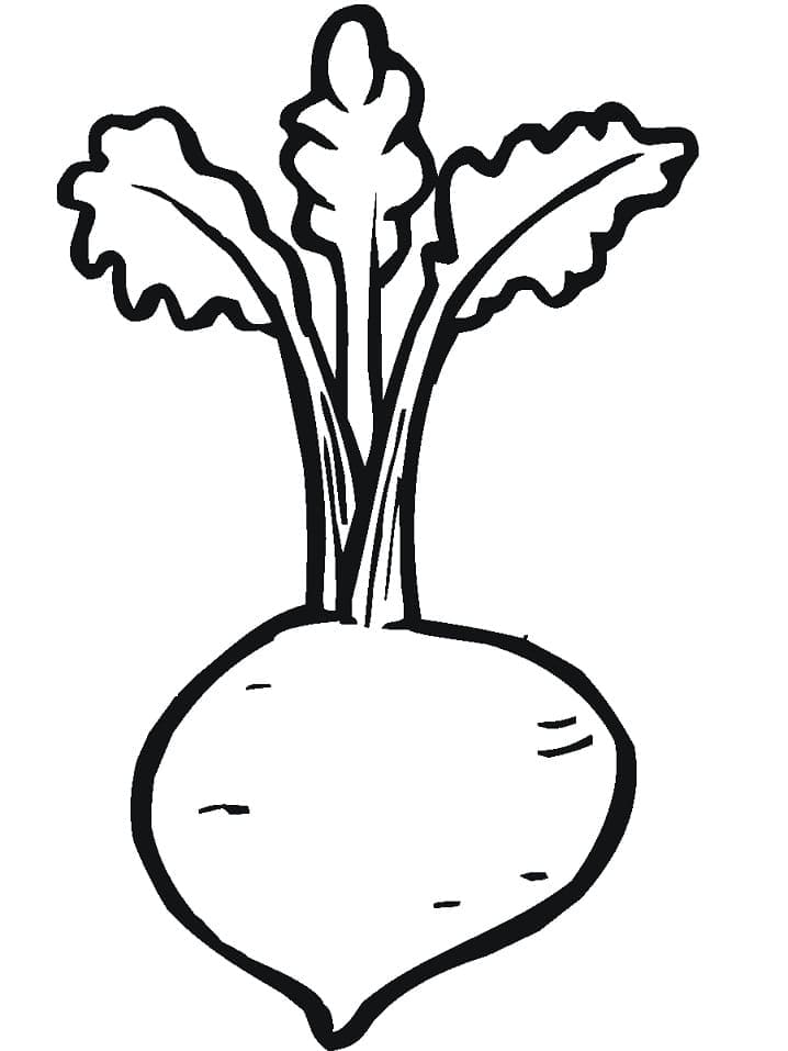 Desenho de Beterraba Grátis para Colorir e Pintar