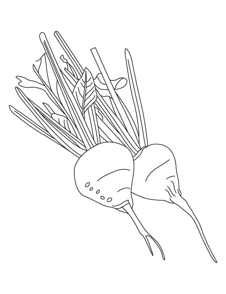 Desenho de Beterraba para Colorir com Tinta Guache para Imprimir e Pintar