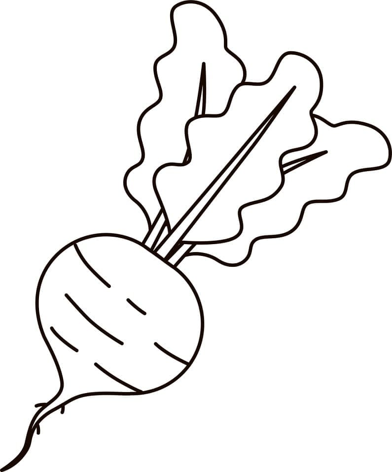 Desenho de Beterraba para Colorir Grátis Pdf e Pintar