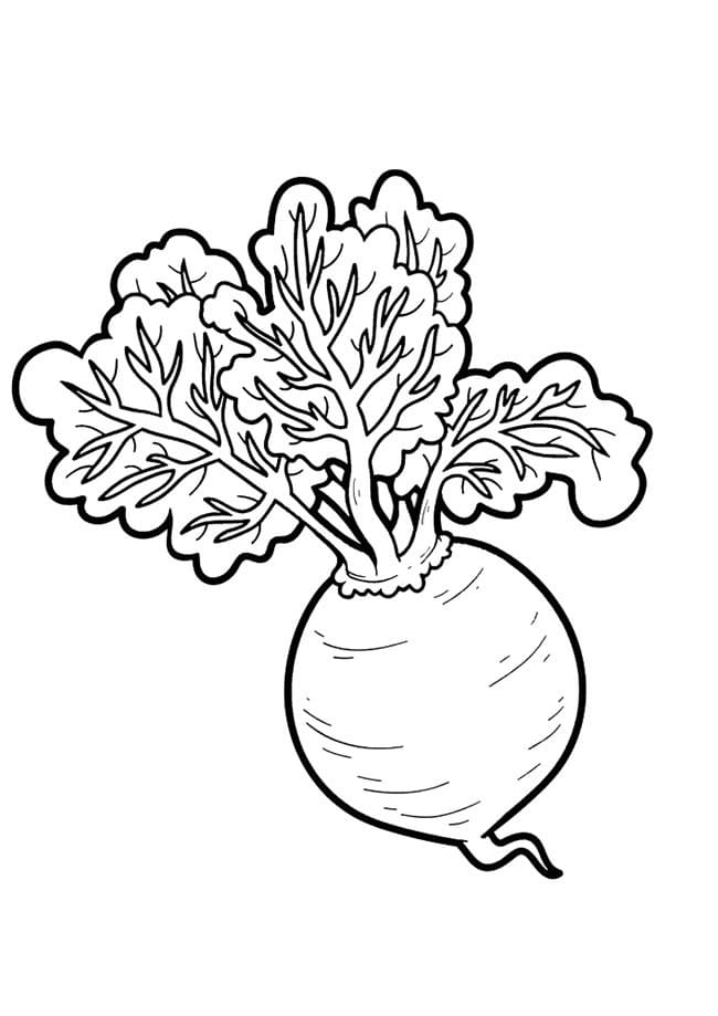 Desenho de Beterraba para Colorir Imprimivel Grátis e Pintar