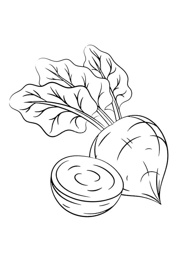 Desenho de Beterraba para Imprimir Pdf e Pintar