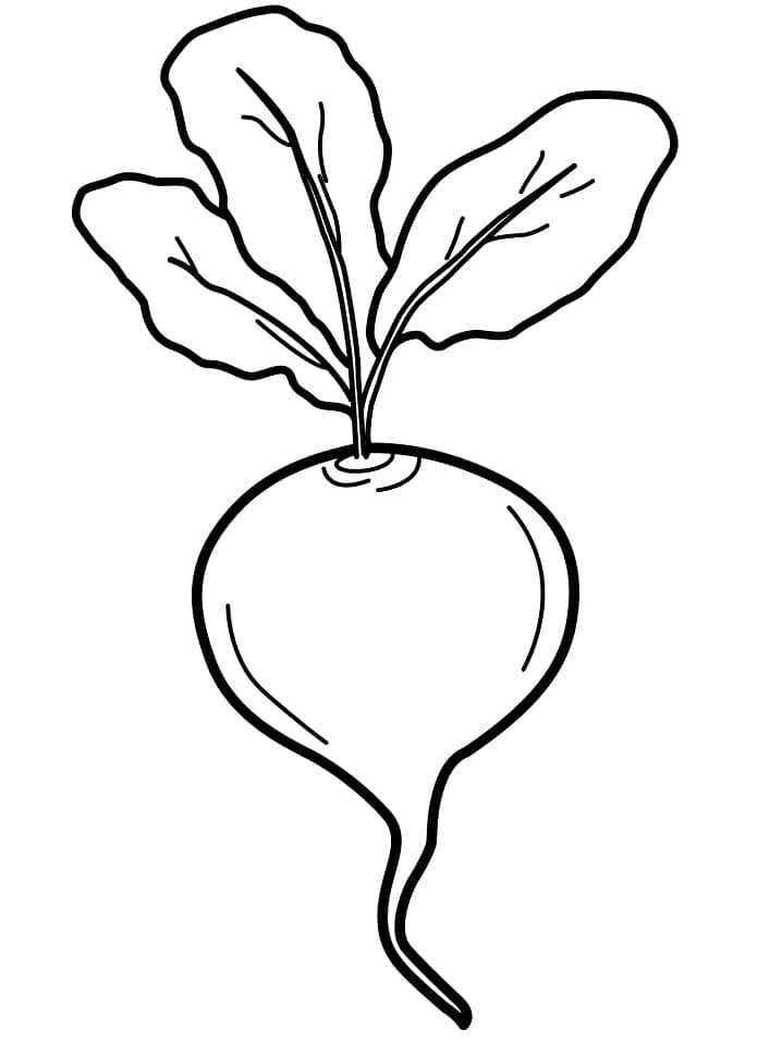 Desenho de Beterraba para Pintar com Giz de Cera