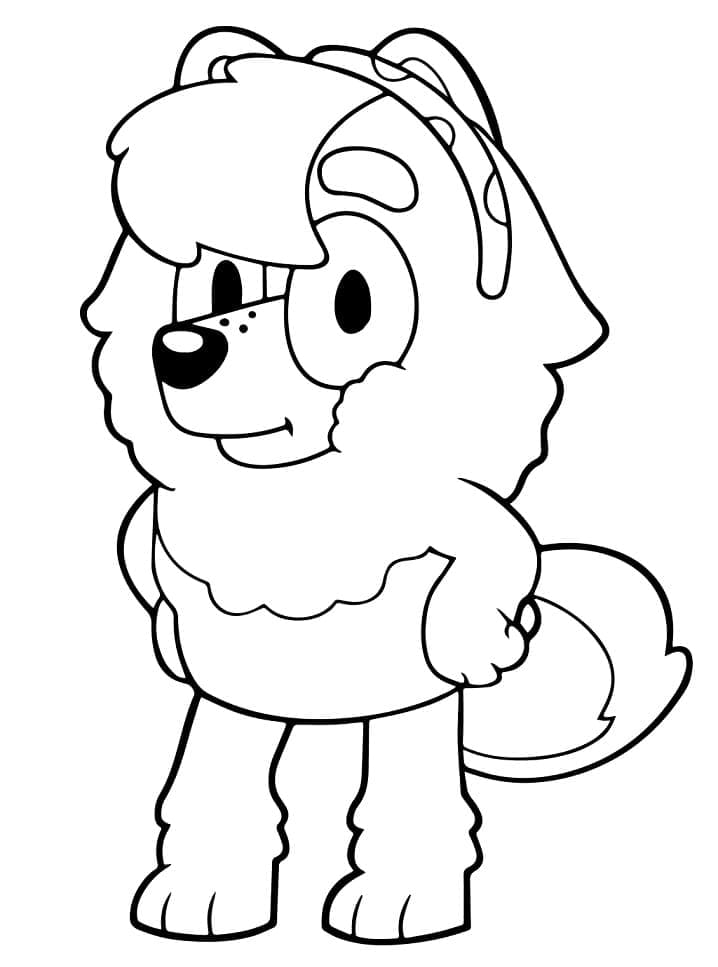 Desenho de Spitz Judô para Colorir e Pintar