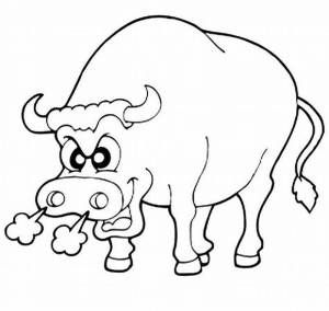 Colorir e Pintar Desenho do Boi da Cara Preta