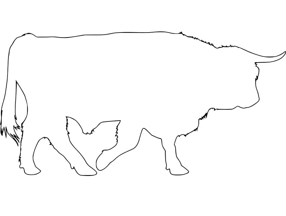 Desenho de Boi Fácil de Baixar e Pintar