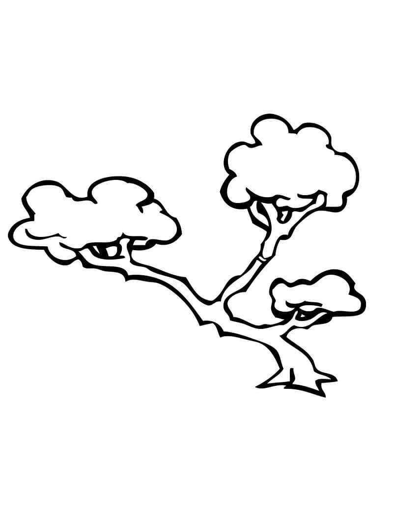 Desenho de Bonsai Lindo para Colorir com Lápis de Cor e Pintar