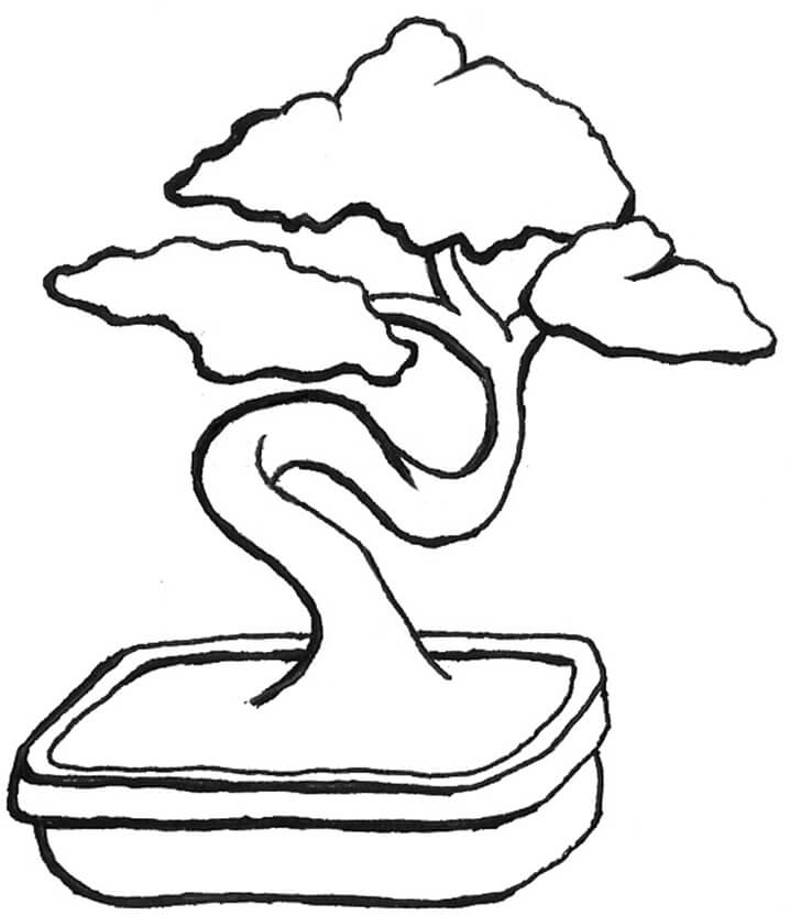 Desenho de Bonsai Lindo para Colorir e Imprimir Grátis e Pintar
