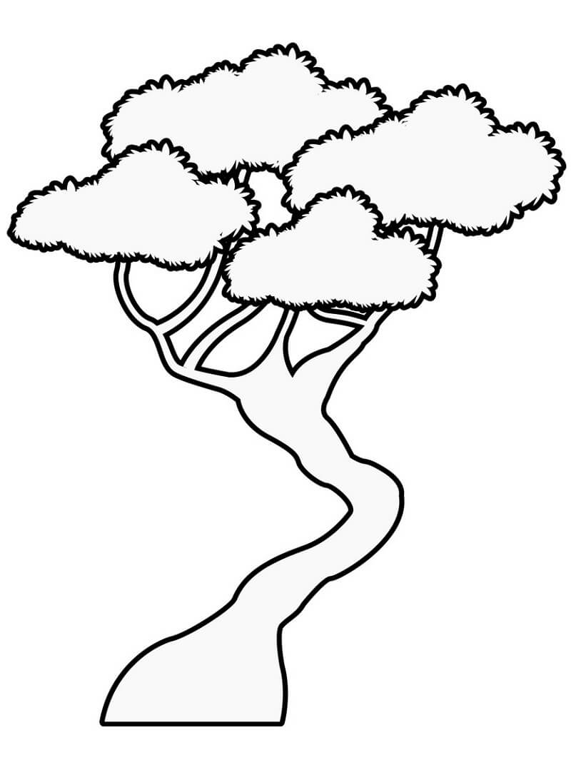 Desenho de Bonsai Lindo para Colorir e Imprimir Pdf Grátis e Pintar