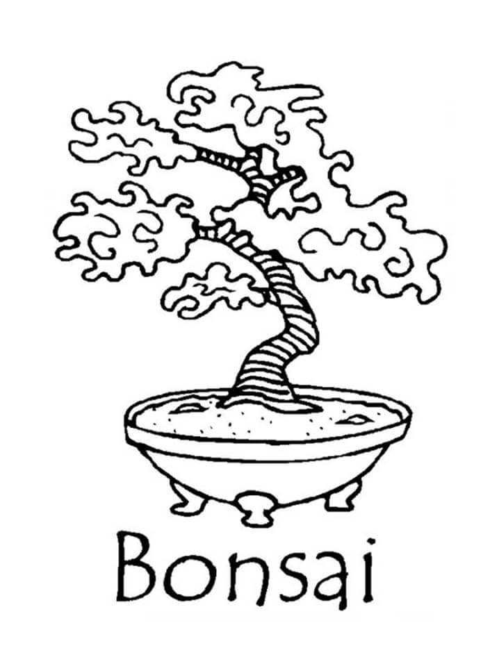 Desenho de Bonsai Lindo para Colorir e Pintar com Tinta Guache