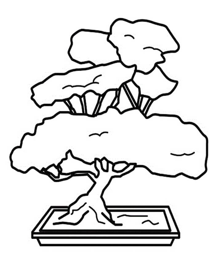 Desenho de Bonsai Lindo para Colorir Usando Giz de Cera e Pintar