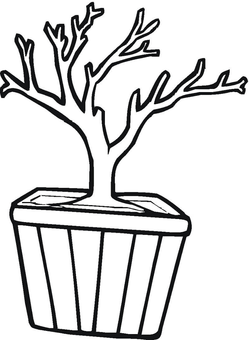 Desenho de Bonsai Normal para Colorir e Imprimir Grátis e Pintar