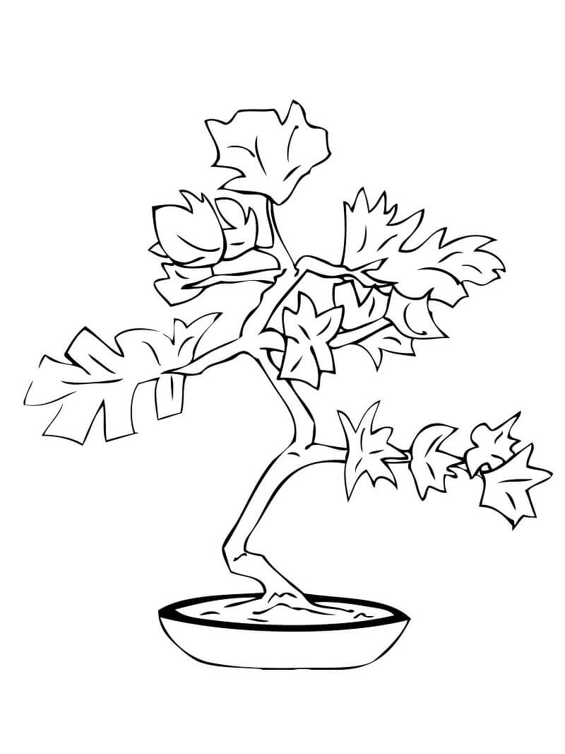 Desenho de Bonsai Normal para Colorir e Imprimir Pdf Grátis e Pintar