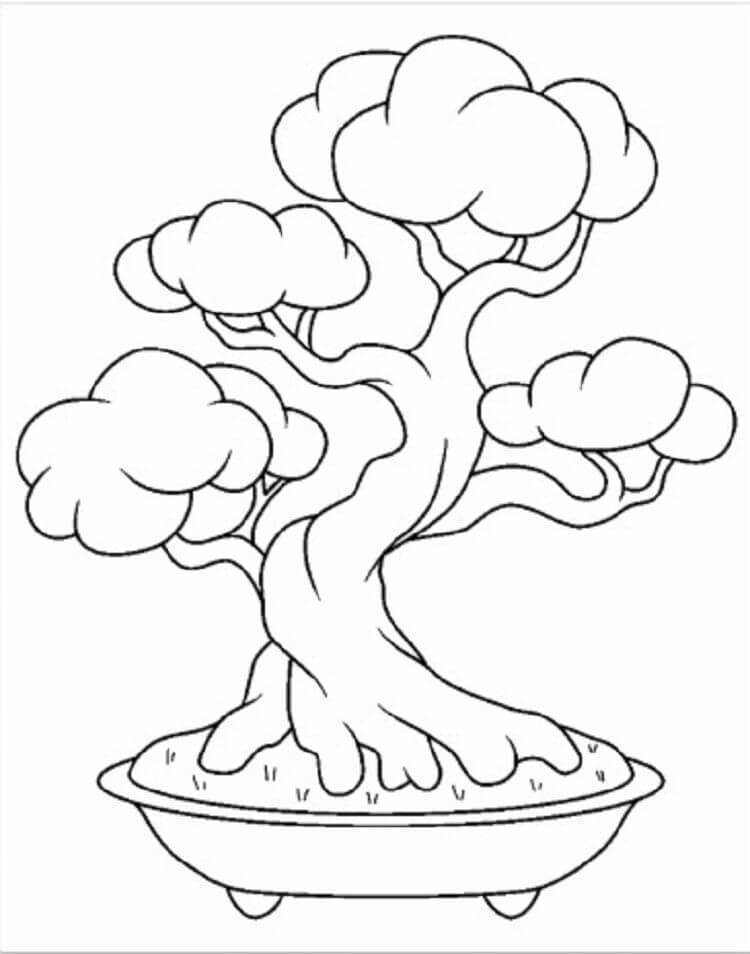 Desenho de Bonsai Normal para Colorir Usando Giz de Cera e Pintar