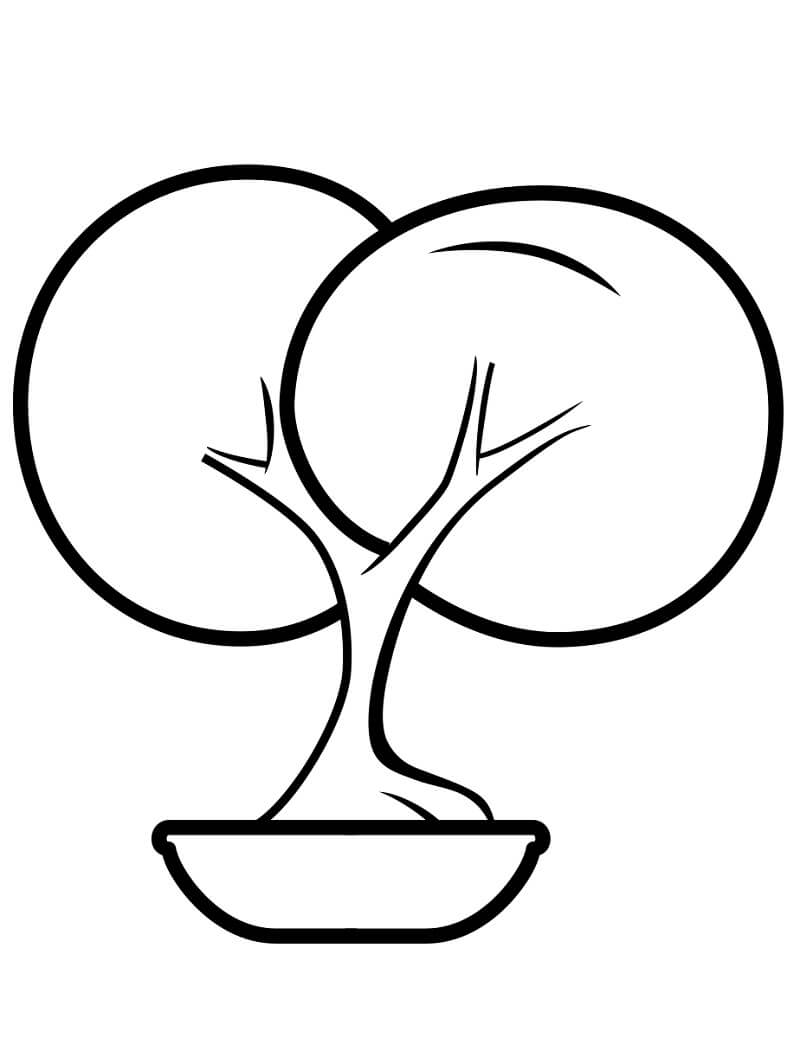Desenho de Bonsai Simples para Colorir com Lápis de Cor e Pintar