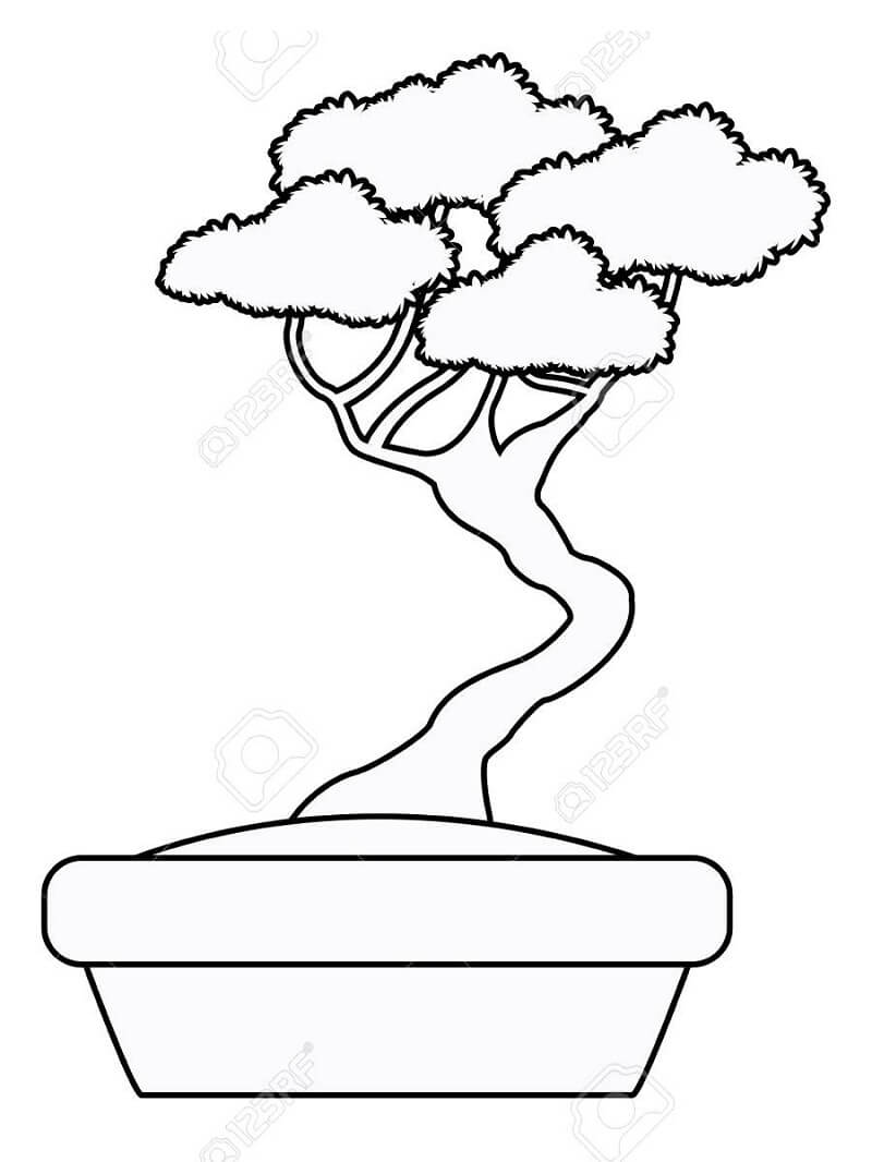 Desenho de Bonsai Simples para Colorir e Pintar com Tinta Guache