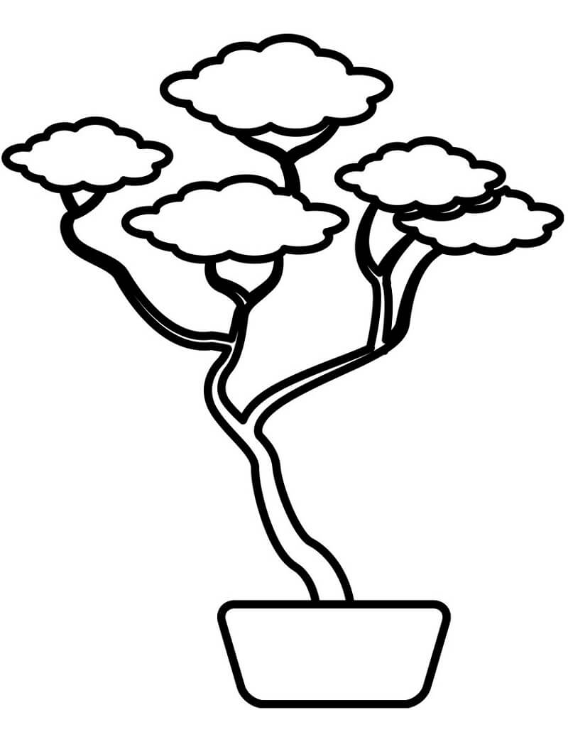 Desenho de Bonsai Simples para Colorir Usando Giz de Cera e Imprimir e Pintar