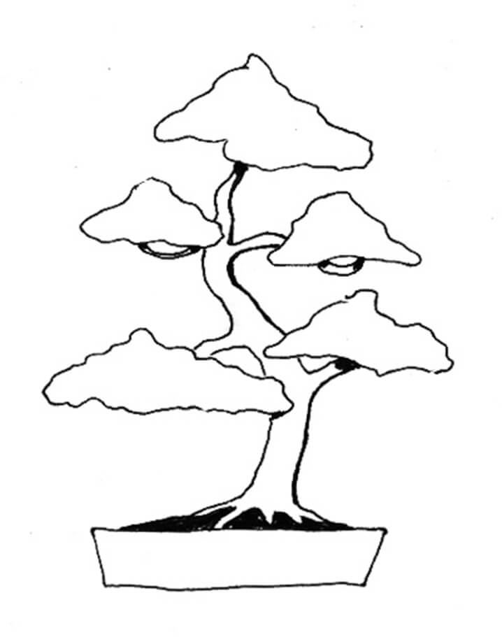Desenho de Plantá Bonsai para Colorir e Pintar com Tinta Guache