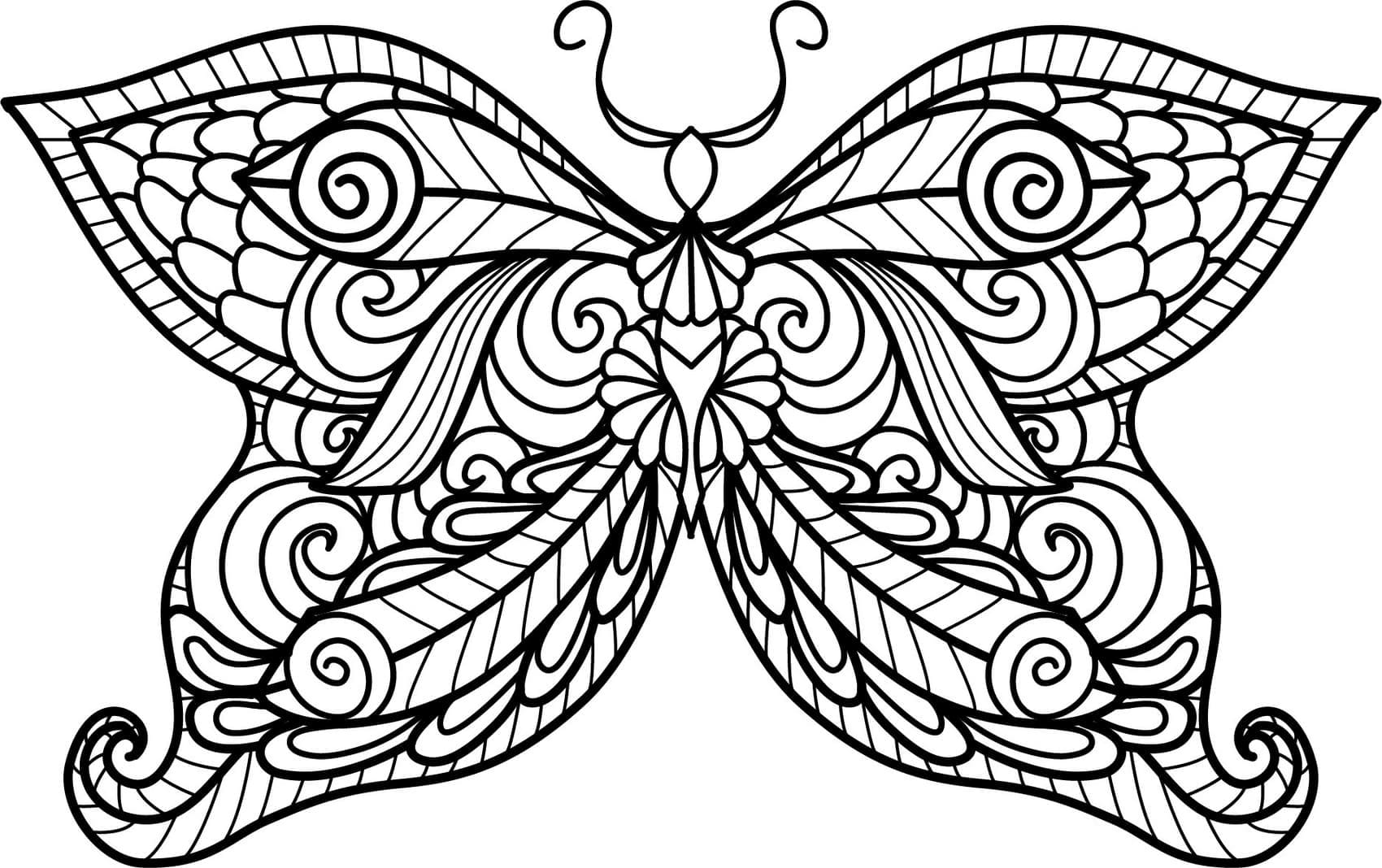 Desenho de Borboleta Antiestresse para Colorir e Pintar