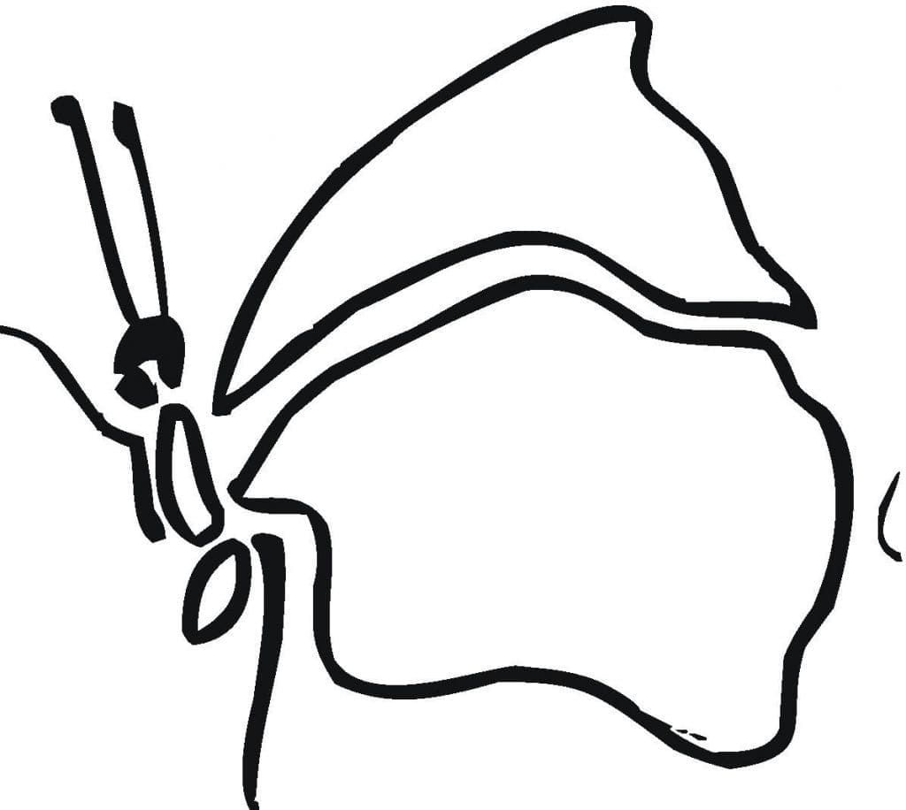 Desenho de Borboleta Muito Simples para Colorir e Pintar