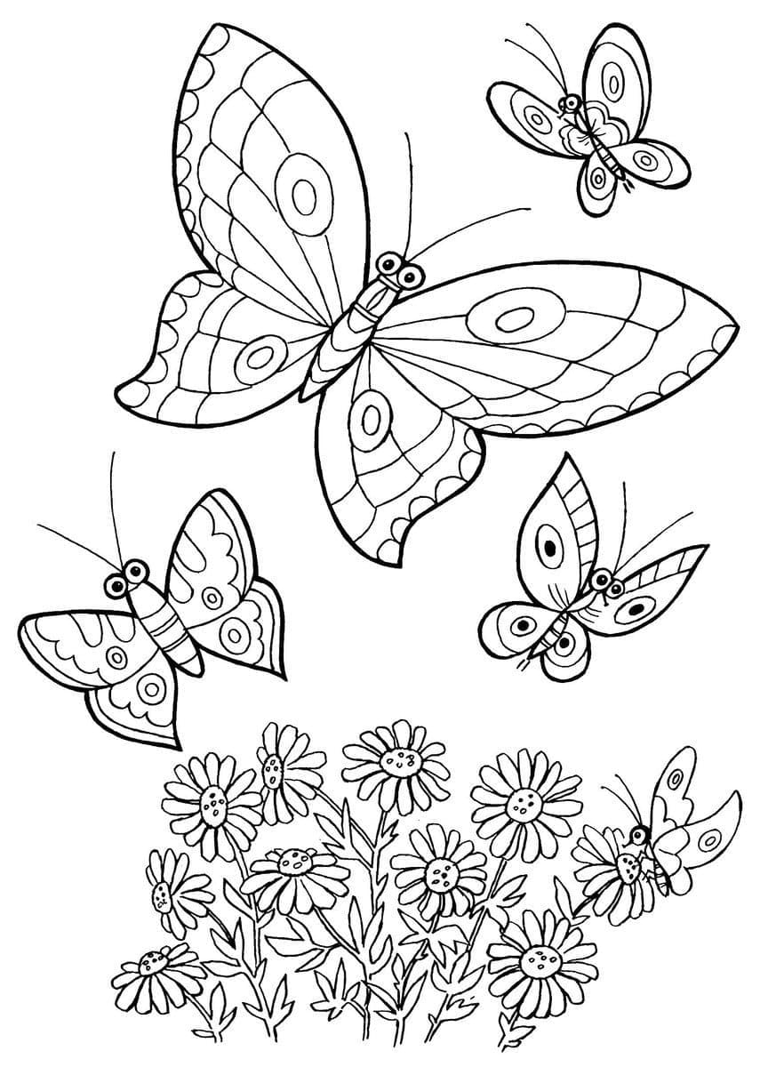 Desenho de Borboletas e Flores para Colorir e Pintar