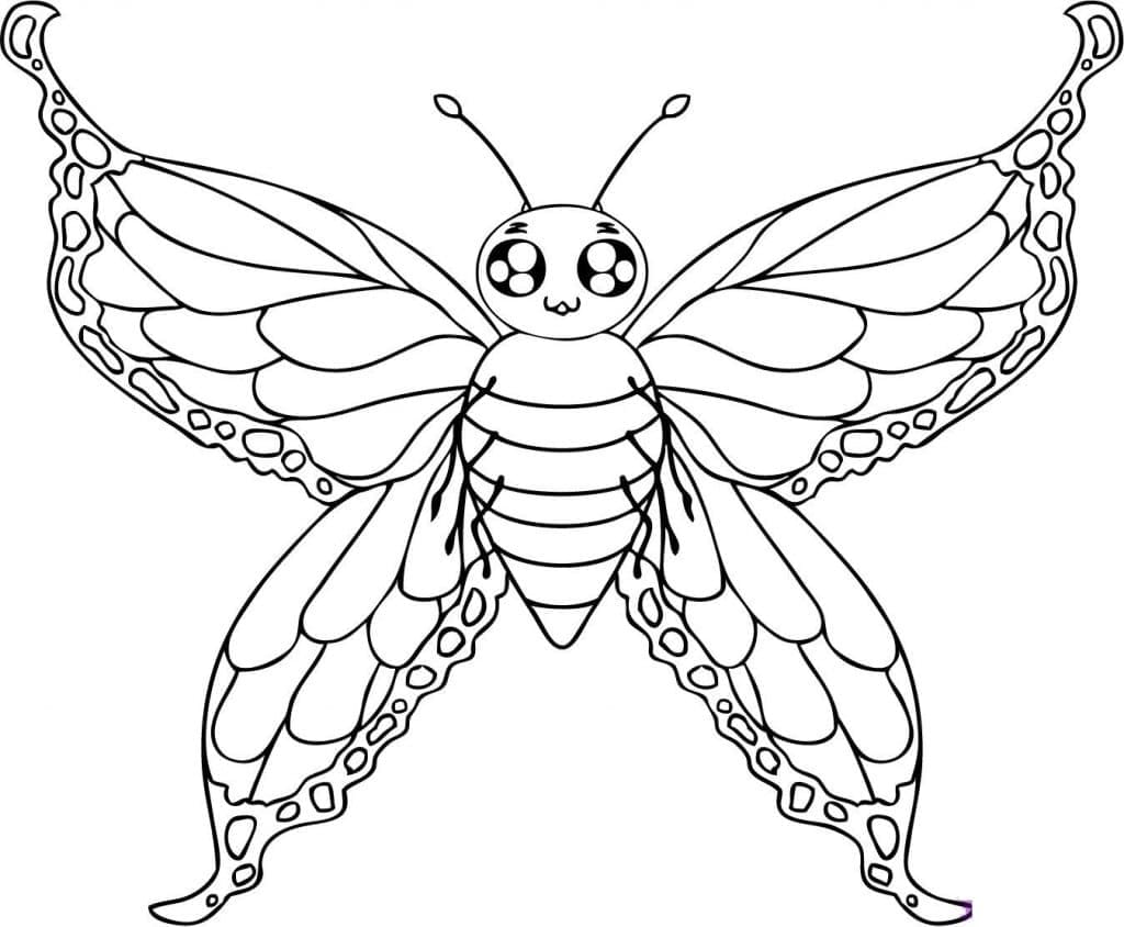 Desenho de Borboleta Download Grátis para Colorir e Pintar