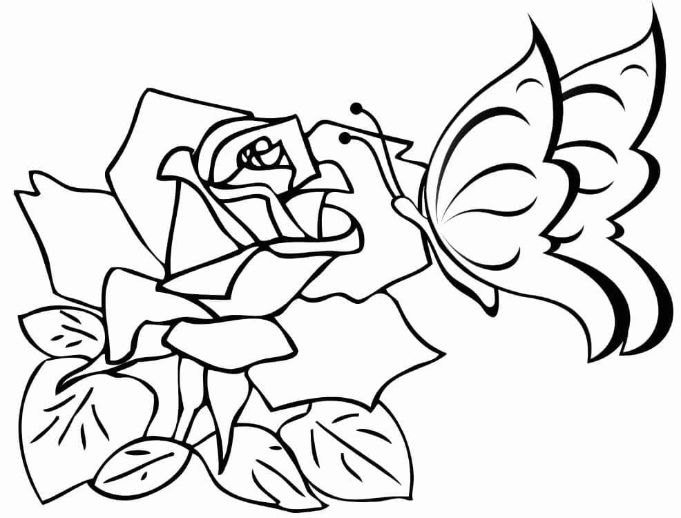 Desenho de Borboleta e Rosa para Colorir e Pintar