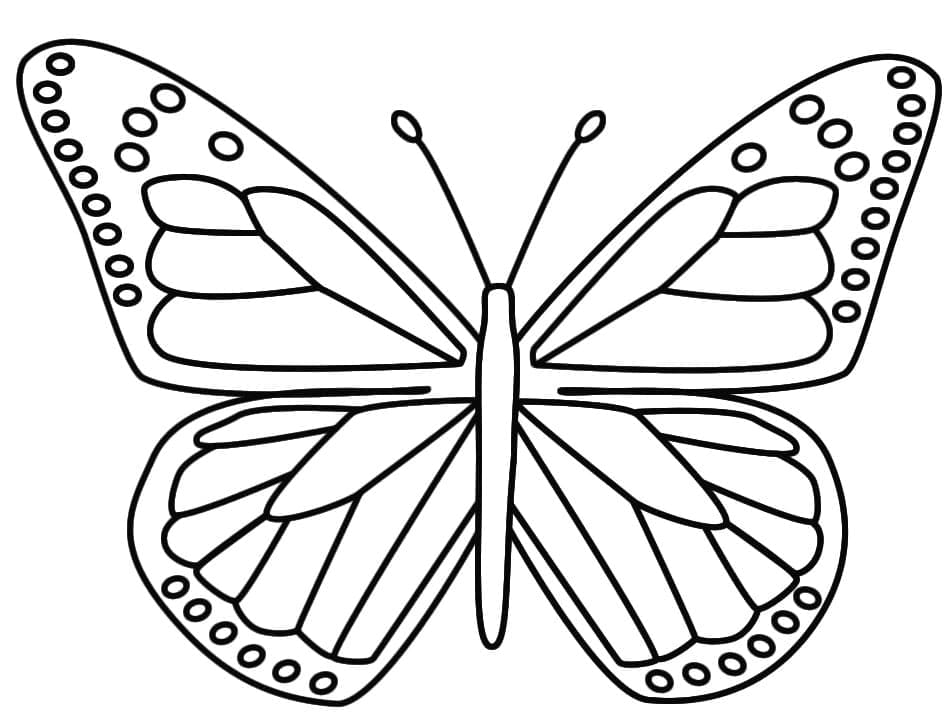 Desenho de Borboleta Grátis para Crianças para Colorir e Pintar